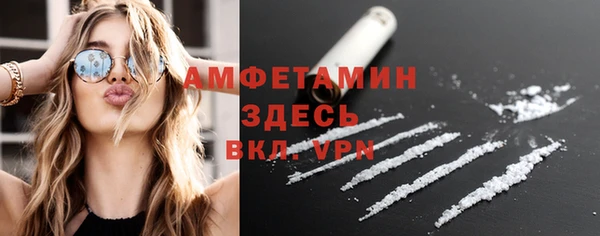 метадон Алексин