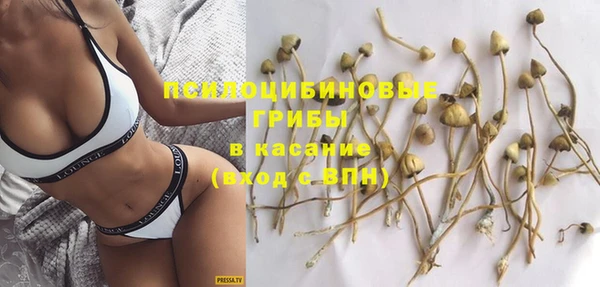 метадон Алексин